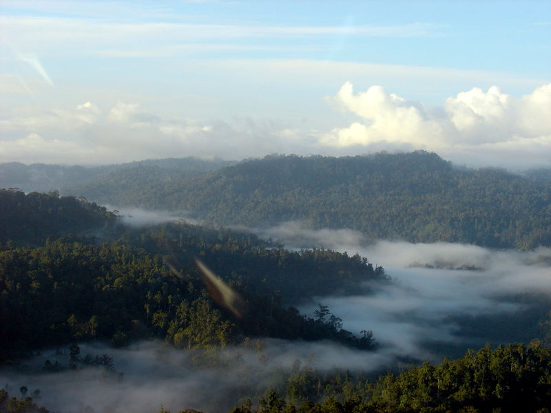 Soubor:Halmahera Island.jpg