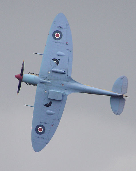 Soubor:Spitfire.planform.arp.jpg