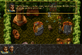 ALBION-DOSBox-016.png