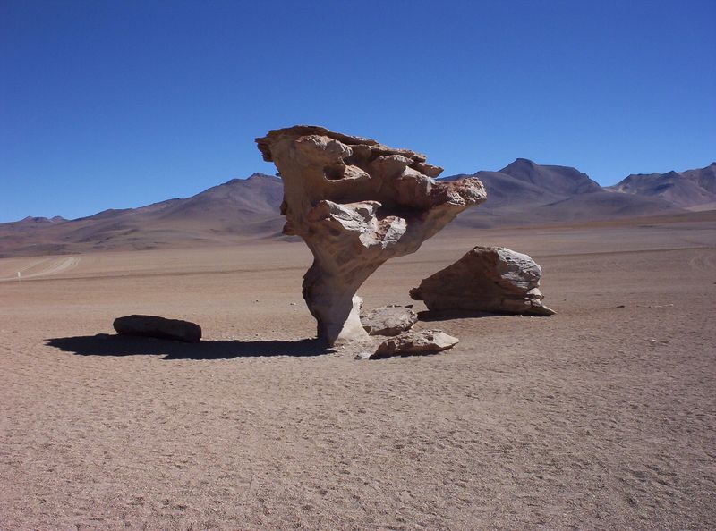 Soubor:Im Salar de Uyuni.jpg