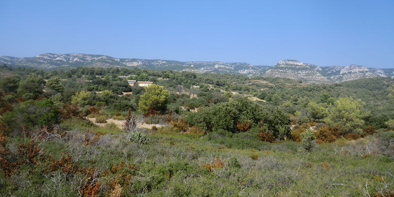 Soubor:Piccolo luberon.jpg