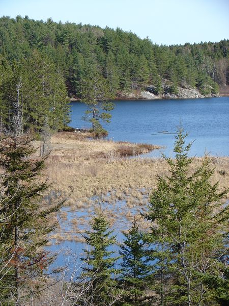 Soubor:Canadian Shield Ontario.jpg