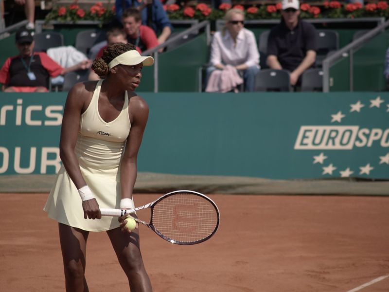 Soubor:VenusWilliams.jpg