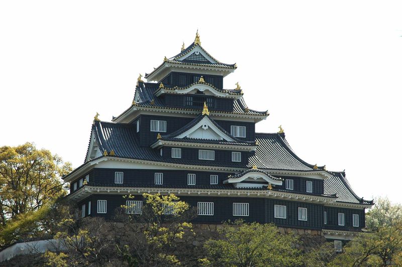 Soubor:Okayama Castle 03.jpg