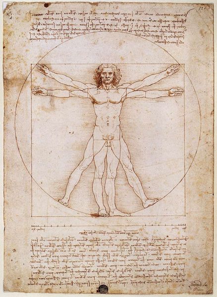 Soubor:Vitruvian.jpg