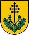 AUT Aichkirchen COA.jpg