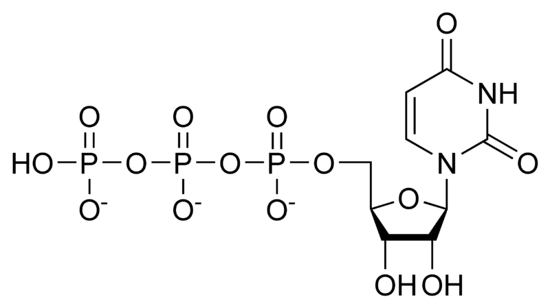 Soubor:UTP chemical structure.png