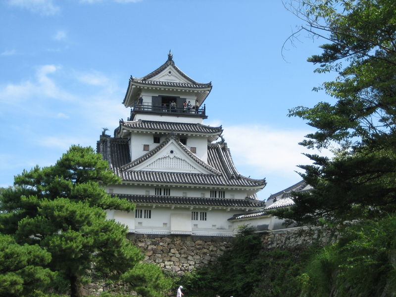 Soubor:Kochi Castle 03.JPG