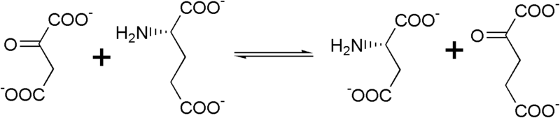 Soubor:Aspartate transaminase rn.png