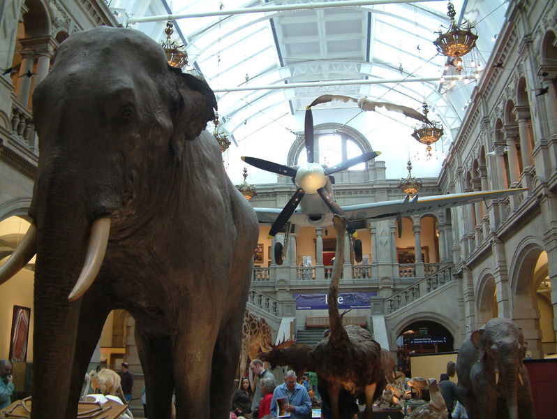 Soubor:Glasgow Kelvingrove gallery in.jpg