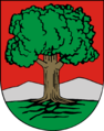 POL Wałbrzych COA.png