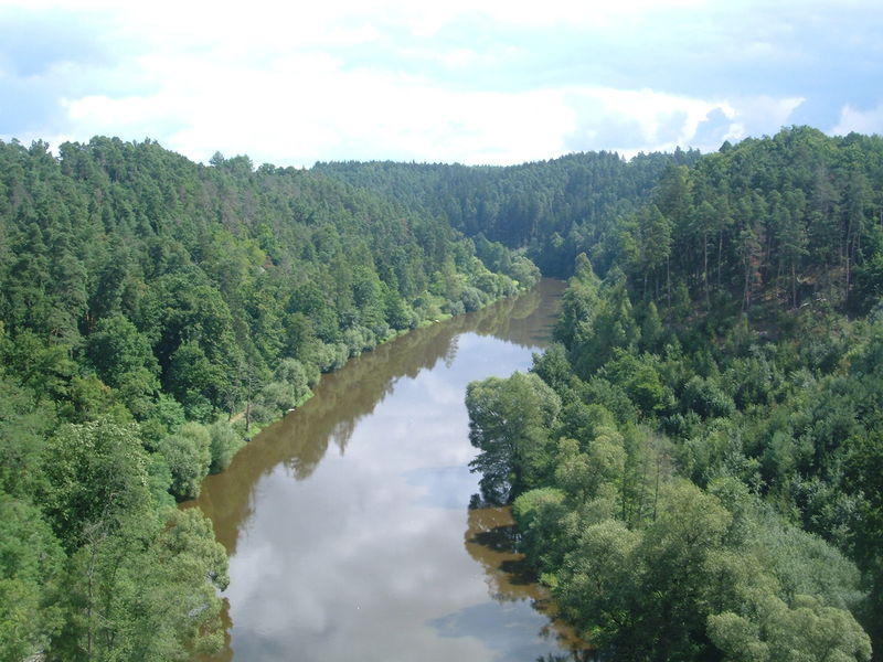 Soubor:Pohled na lužnici.jpg