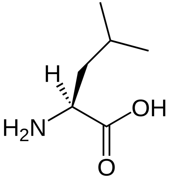 Soubor:L-leucine-skeletal.png