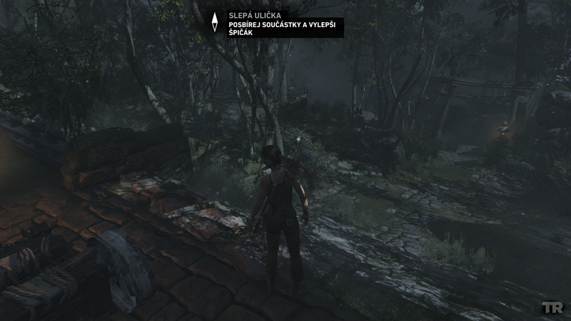 Soubor:Tomb Raider GOTY-2013-035.png