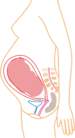 8. měsíc