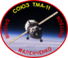 Soyuz TMA-11 Patch.png