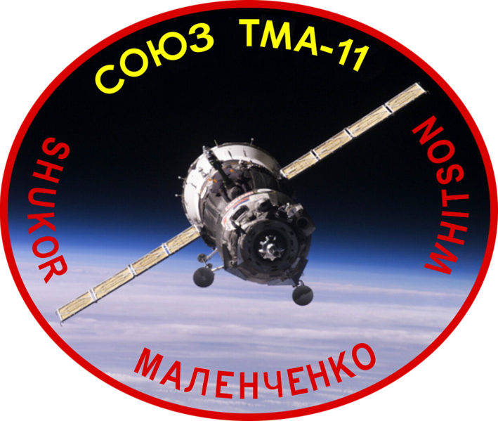 Soubor:Soyuz TMA-11 Patch.png