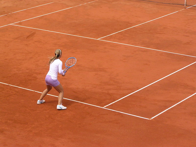 Soubor:DCibulkova-ECM04.jpg