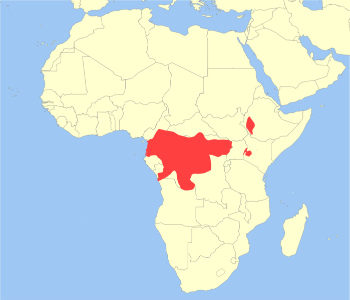 Soubor:Cercopithecus neglectus distribution.png