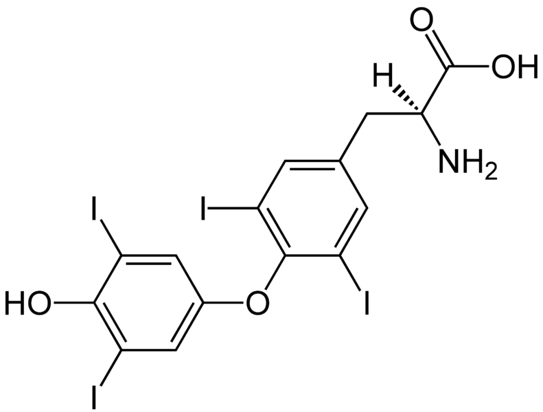 Soubor:(S)-Thyroxine Structural Formulae.png