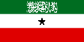 Flag of Somaliland.png