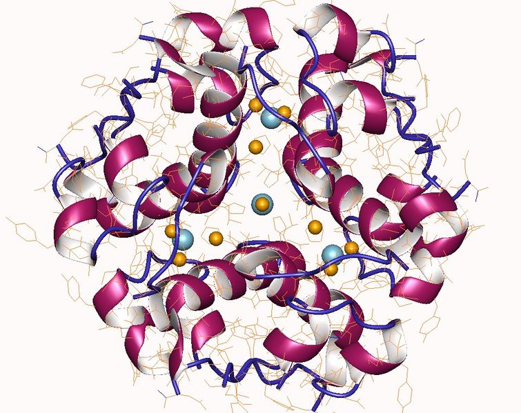 Soubor:Insulin hexamer.jpg