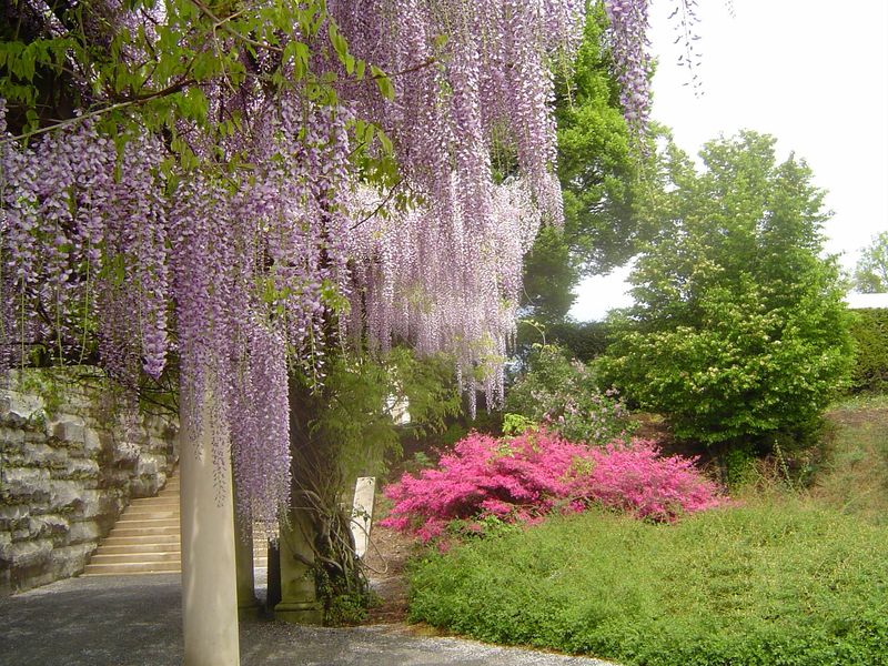 Soubor:Biltmore Estate 67.jpg