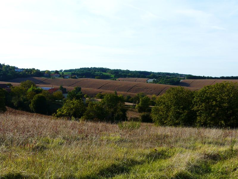 Soubor:Douchapt paysage sud.JPG