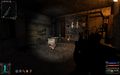 STALKER-Shadow-Chernobyl-2020-158-brainlab.jpg