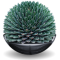 Sphere128x-agave.png