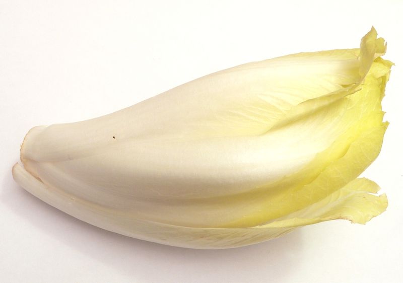 Soubor:Endive p1160063.jpg