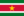 Flag of Suriname.png