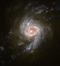 NGC 3310.jpg