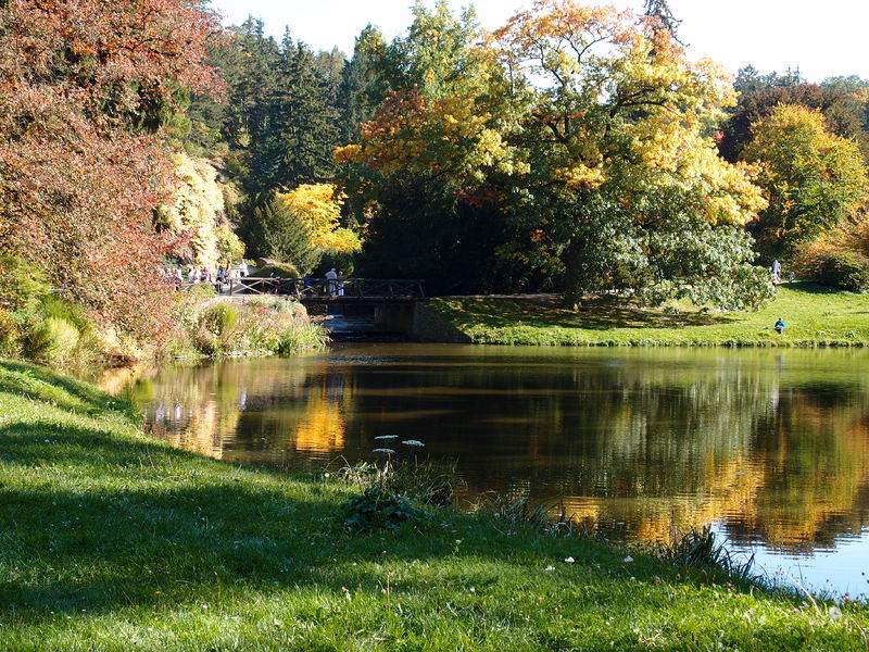 Soubor:Zámecký park Průhonice-September-2017-73.JPG