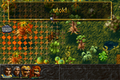 ALBION-DOSBox-092.png