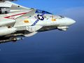 F-14 Tomcat ROVER antenna circled.jpg
