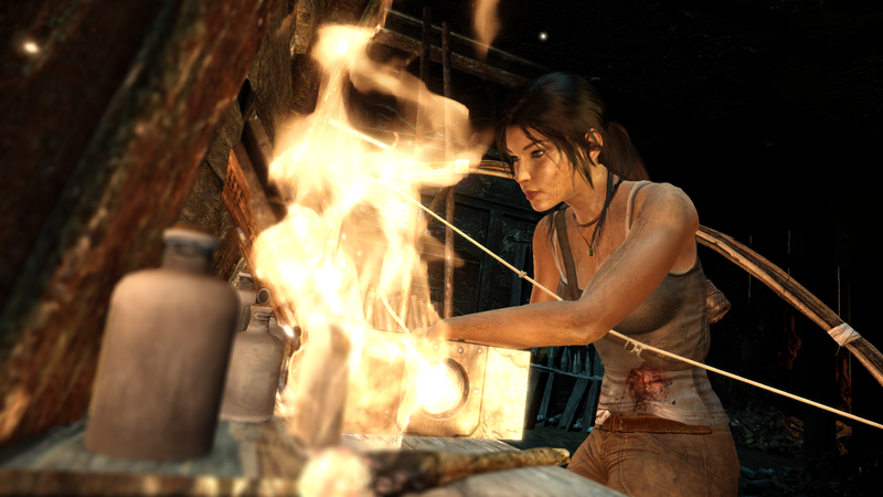 Soubor:Tomb Raider GOTY-2013-023.png