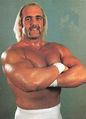 Hulk Hogan, circa 1985.jpg