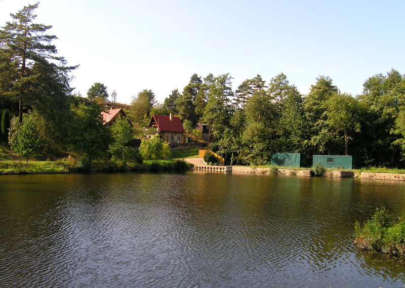 Soubor:Březí, Pond on Výmola.jpg