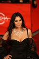 Monica Bellucci-festa del cinema 100-Flickr.jpg