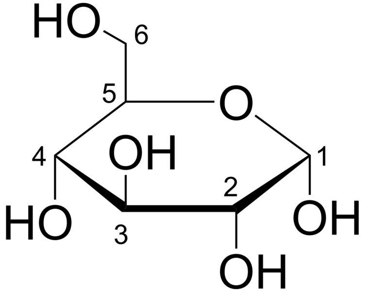 Soubor:Glucose Haworth.png