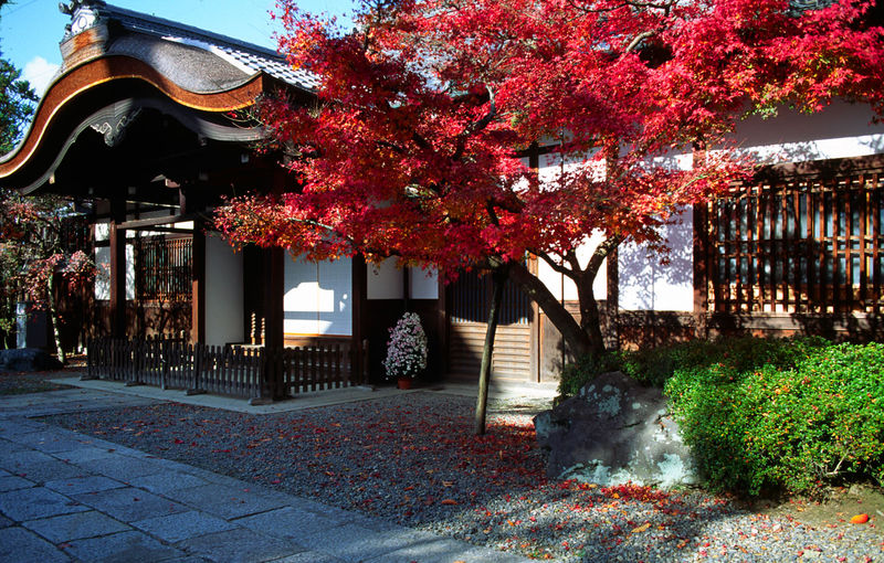 Soubor:KiyomizuderaGateKarahafu.jpg