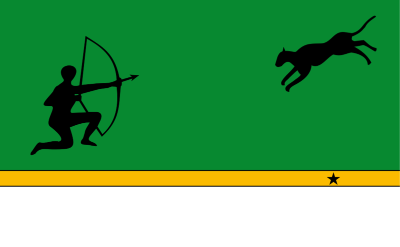 Soubor:Flag of Amazonas Department.png