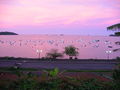 2004 12 12 18-24-04 rose sea in mamoudzou mayotte island.jpg