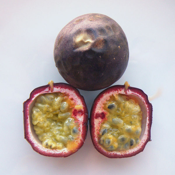 Soubor:Purple passionfruit.jpg