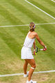 Wimbledon 2021-003-ASFlickr.jpg