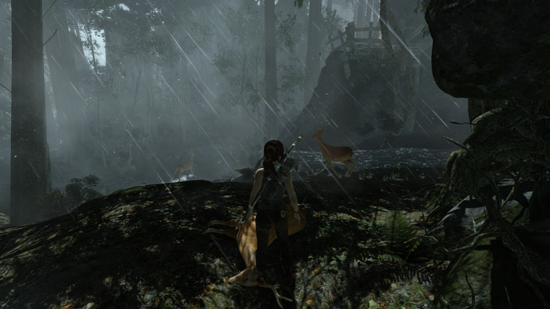 Soubor:Tomb Raider GOTY-2013-016.png