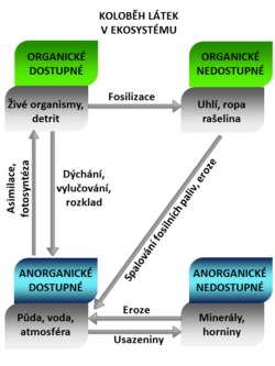 Biochemical cycle flowchart czech.png