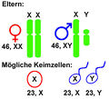 Náhled verze z 5. 4. 2014, 15:03