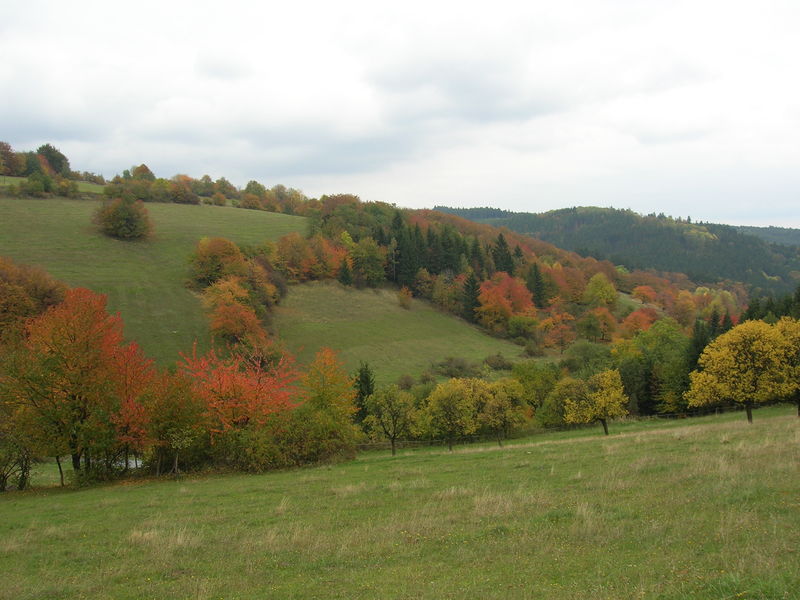 Soubor:Příroda Lomnice.jpg